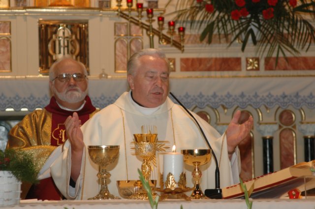 mszawzokazji65rocznicypowstaniakongresupoloniiamerykaskiej21.jpg