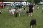 festiwaltrjcowo201075_small.jpg