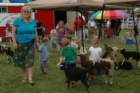 festiwaltrjcowo201080_small.jpg