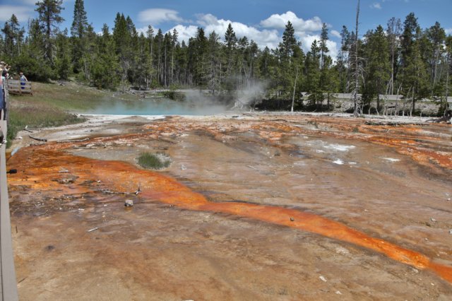 parknarodowyyellowstone10.jpg